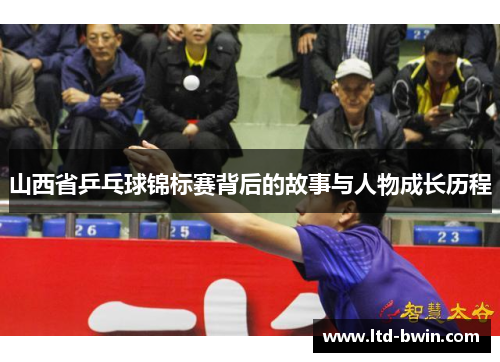 山西省乒乓球锦标赛背后的故事与人物成长历程