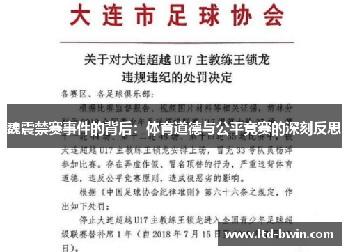 魏震禁赛事件的背后：体育道德与公平竞赛的深刻反思