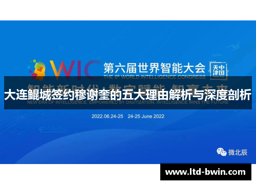 大连鲲城签约穆谢奎的五大理由解析与深度剖析