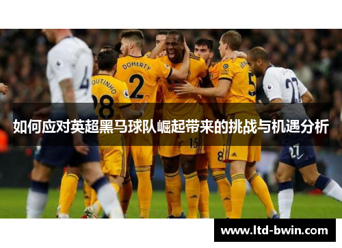 如何应对英超黑马球队崛起带来的挑战与机遇分析