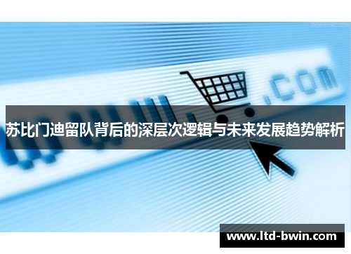 苏比门迪留队背后的深层次逻辑与未来发展趋势解析