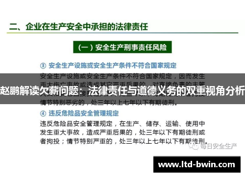 赵鹏解读欠薪问题：法律责任与道德义务的双重视角分析