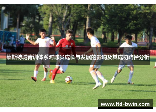 莱斯特城青训体系对球员成长与发展的影响及其成功路径分析